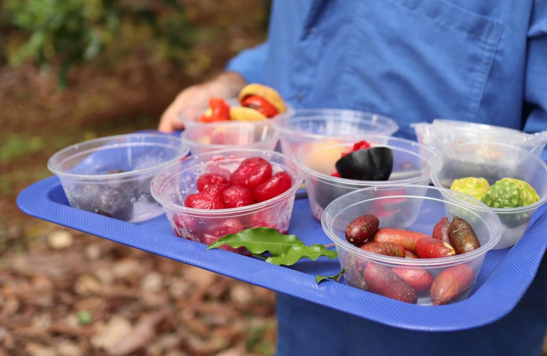 Private Cairns Tablelands Tasting Tour