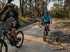 Tilba's Art Trail Tour By E Bike - We Wander