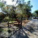 Tilba's Heritage Walk To Brunch - We Wander