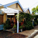 Tilba's Twilight Walking Tour - We Wander