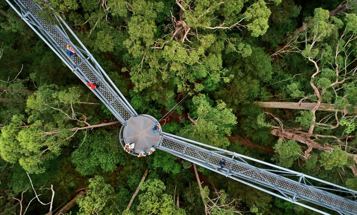 Valley Of The Giants Tree Top Walk - We Wander