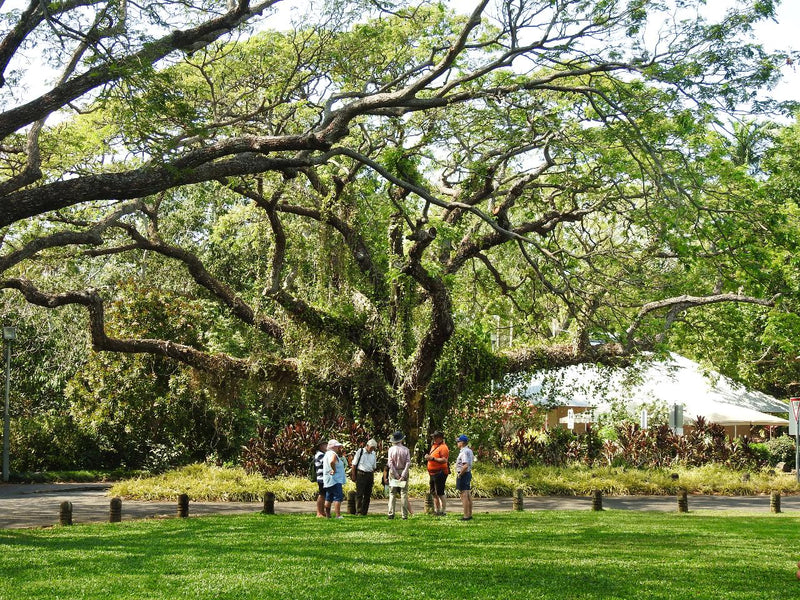 Walk The Botanic Gardens