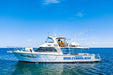 Whale Shark Adventure Swims Exmouth - We Wander