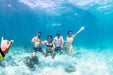 Whale Shark Adventure Swims Exmouth - We Wander