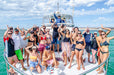 Whale Shark Adventure Swims Exmouth - We Wander
