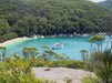 Wilsons Prom Full Day Cruise - We Wander
