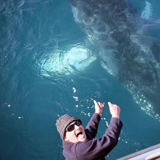 Wilsons Prom – Whale Cruise - We Wander