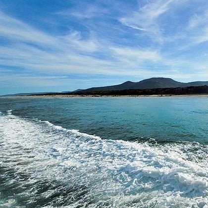 Wilsons Prom – Whale Cruise - We Wander