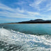 Wilsons Prom – Whale Cruise - We Wander
