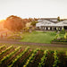 Wine Flight With Six Bites At Digiorgio Family Wines - We Wander