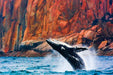 Wineglass Bay Cruises - Vista Lounge With Ploughmans Lunch - We Wander