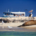 Winter Wildlife Cruise Includes Fresh Fish & Chips Lunch - We Wander