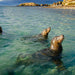 Winter Wildlife Cruise Includes Fresh Fish & Chips Lunch - We Wander