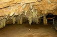 Yanchep National Park & Crystal Cave - We Wander