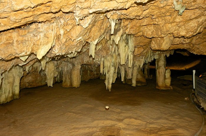 Yanchep National Park & Crystal Cave - We Wander