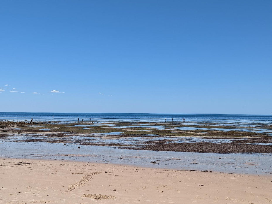 Yorke Peninsula Blue Swimmer Crab Catch N Dine - We Wander